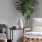 Find Your Home at Origin