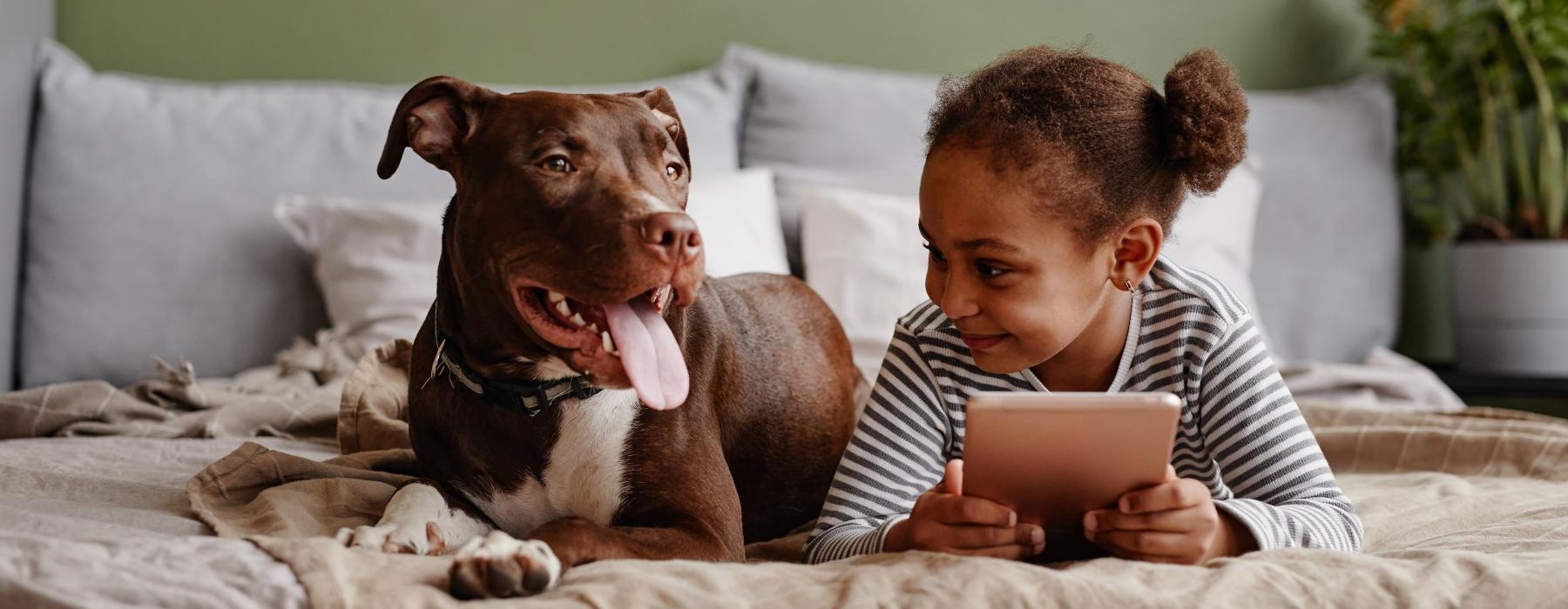 a dog and a child looking at a tablet